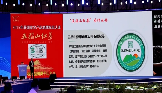 五指山红茶亮相中国品牌日活动